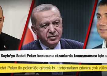 Deniz Zeyrek: Erdoğan, Soylu'yu Sedat Peker konusunu ekranlarda konuşmaması için uyarmış
