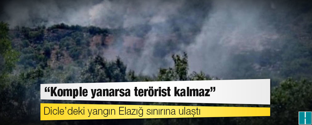 Dicle’deki yangın Elazığ sınırına ulaştı: 'Komple yanarsa terörist kalmaz'