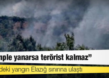 Dicle’deki yangın Elazığ sınırına ulaştı: 'Komple yanarsa terörist kalmaz'