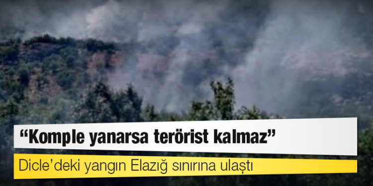 Dicle’deki yangın Elazığ sınırına ulaştı: 'Komple yanarsa terörist kalmaz'