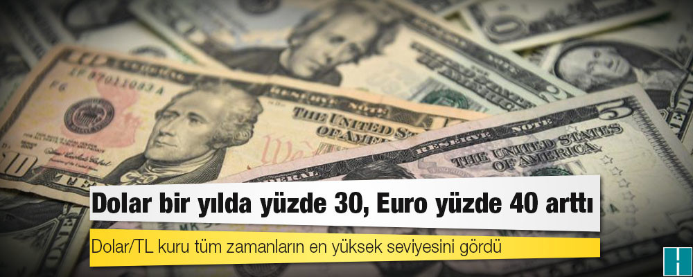 Dolar bir yılda yüzde 30, Euro yüzde 40 arttı