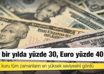 Dolar bir yılda yüzde 30, Euro yüzde 40 arttı