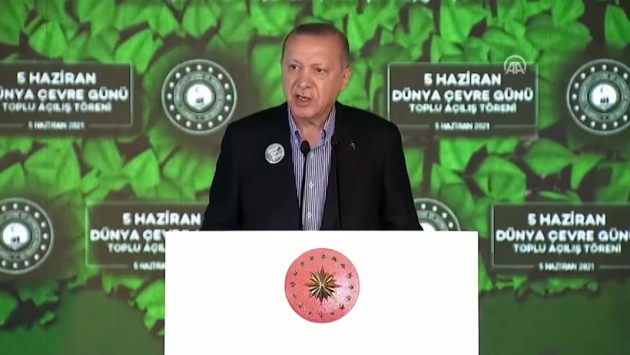 Erdoğan: İstanbul’da ağaç mağaç yoktu