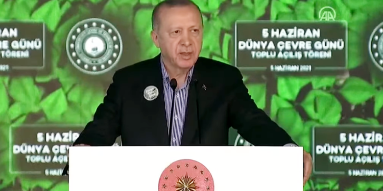 Erdoğan: İBB Başkanlığı’nı devraldığımda İstanbul’da ağaç mağaç yoktu