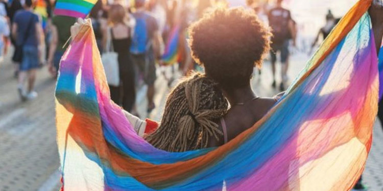 Farklı LGBTİ+ bayrakları neleri temsil ediyor, ne anlama geliyor?