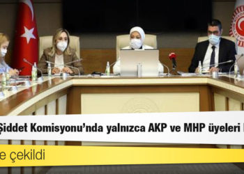 HDP de çekildi; Kadına Şiddet Komisyonu'nda yalnızca AKP ve MHP üyeleri kaldı
