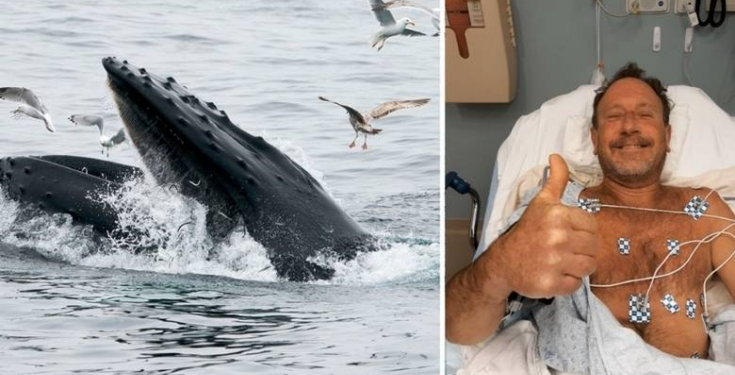 Kambur balinanın tümüyle yuttuğu adam mucizevi şekilde kurtuldu: "30-40 saniye içinde kaldım"