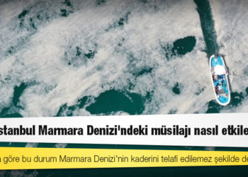 Kanal İstanbul Marmara Denizi'ndeki müsilajı nasıl etkileyecek?