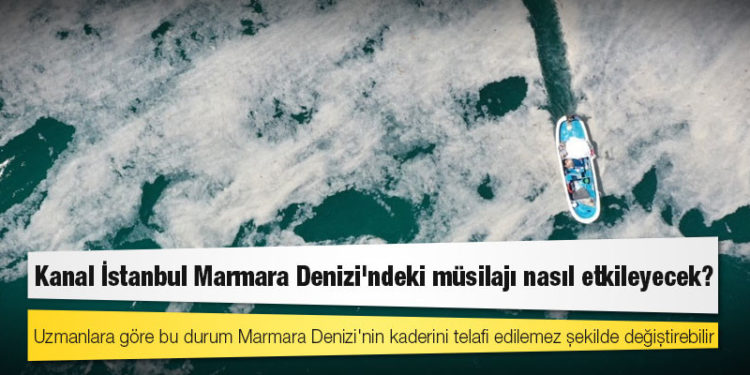 Kanal İstanbul Marmara Denizi'ndeki müsilajı nasıl etkileyecek?