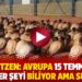 Lorentzen: Avrupa 15 Temmuz’la ilgili her şeyi biliyor ama susuyor