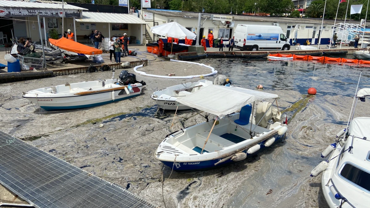 Müsilajlı Marmara Denizi ‘Deniz Koruma Alanı’ Olacak