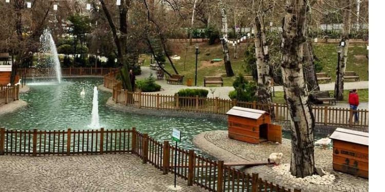 Mansur Yavaş duyurdu: Ankara'da müzisyenler, parklarda konser verecek