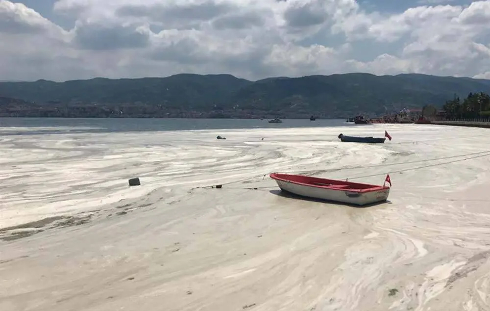 Marmara’ya kıyısı olan illere ‘müsilaj’ genelgesi gönderildi