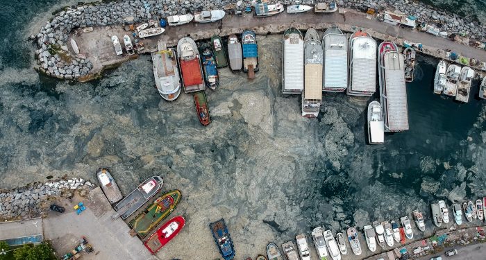 Marmara ölüyor, iktidar Kanal İstanbul derdinde!