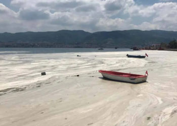 Marmara’ya kıyısı olan illere ‘müsilaj’ genelgesi gönderildi