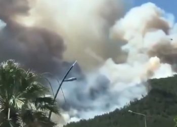 Marmaris’te orman yangını: 1 ölü