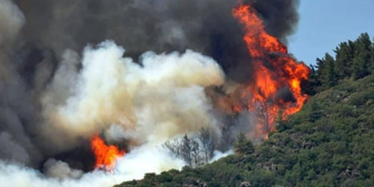 Marmaris’te orman yangını: Bir personel hayatını kaybetti
