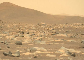 Mars: NASA'nın uzay aracı Perseverance'ın Kızıl Gezegen'deki ilk 100 gününden fotoğraflar - Galeri - HABERDAR