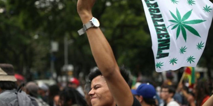 Meksika'da keyif amaçlı esrar kullanımı suç olmaktan çıkartıldı