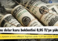 Merkez Bankası anketi: Yıl sonu dolar kuru beklentisi 8,95 TL'ye yükseldi