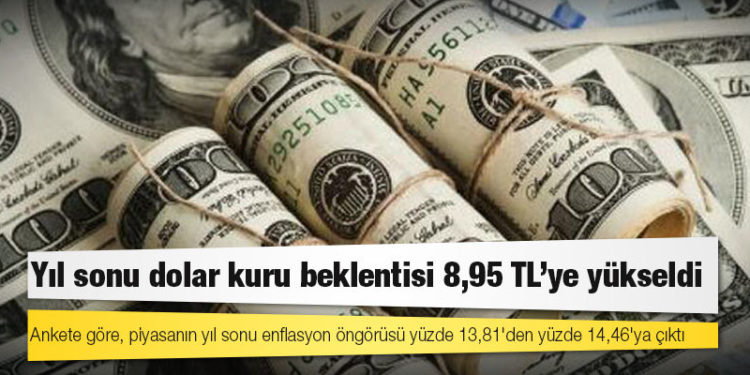 Merkez Bankası anketi: Yıl sonu dolar kuru beklentisi 8,95 TL'ye yükseldi