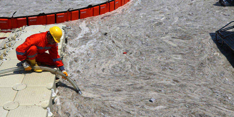 Deniz Salyası, Müsilaj