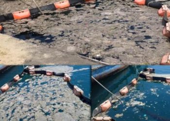 M&uuml;silajı deniz bakterileriyle temizleme deneyinde başarılı sonu&ccedil;