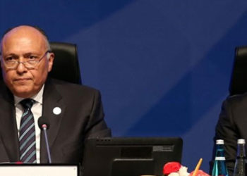 Mısır Dışişleri Bakanı: Türkiye ile ilişkilerimiz kademeli olarak ilerleyecek