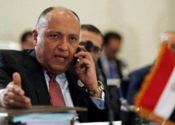 Mısır Dışişleri Bakanı: Türkiye'den talep ve beklentilerimiz var