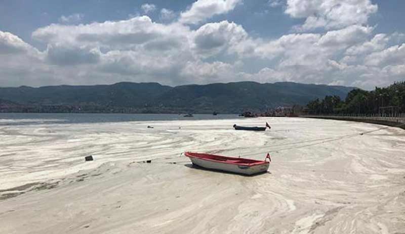 Nöroloji uzmanından müsilaj uyarısı; felç riski var