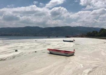 Nöroloji uzmanından müsilaj uyarısı; felç riski var