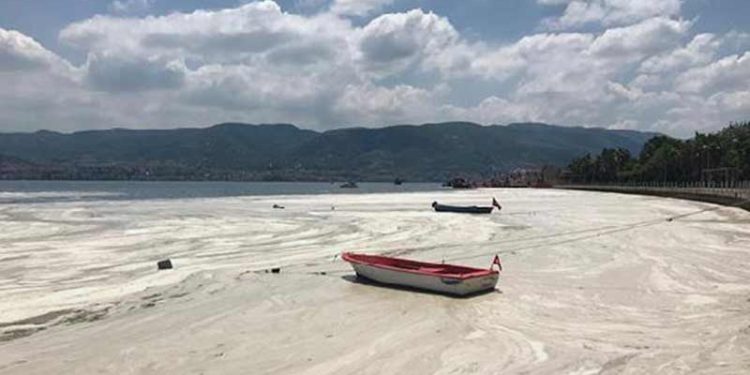 Nöroloji uzmanından müsilaj uyarısı; felç riski var