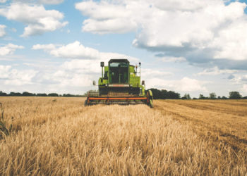 Pandemi istihdamda en çok tarımı vurdu; kayıtlı çiftçi sayısı yüzde 5.1 azaldı