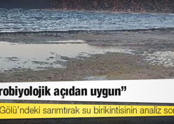 Salda Gölü’ndeki sarımtırak su birikintisinin analiz sonucu: Mikrobiyolojik açıdan uygun