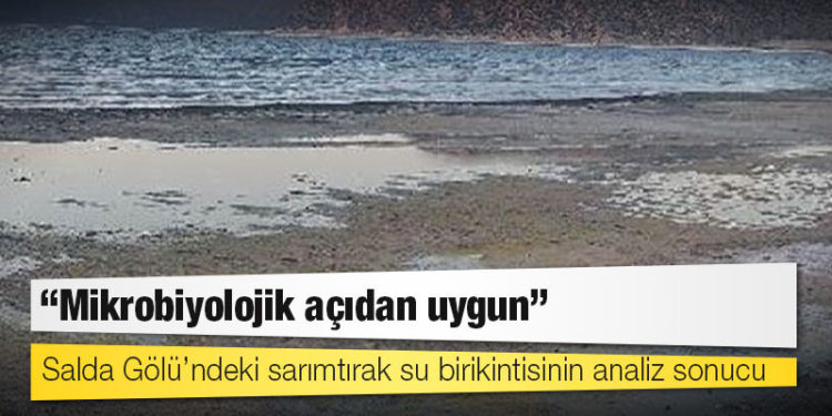 Salda Gölü’ndeki sarımtırak su birikintisinin analiz sonucu: Mikrobiyolojik açıdan uygun