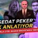 Sedat Peker eksik anlatıyor! Kim bu Erdoğan’a yakın işadamı?  |  Fatih Akalan, Nöbetçi Editör