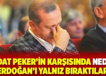 Sedat Peker&rsquo;in karşısında neden Erdoğan&rsquo;ı yalnız bıraktılar