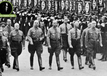 Siz Naziliğin neresindensiniz?