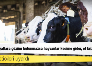 Süt üreticileri uyardı: Artan fiyatlara çözüm bulunmazsa hayvanlar kesime gider, et krizi çıkar!