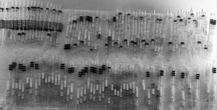 Sınırda, 110 tüp yılan zehiri ve 120 arıyla yakalandı