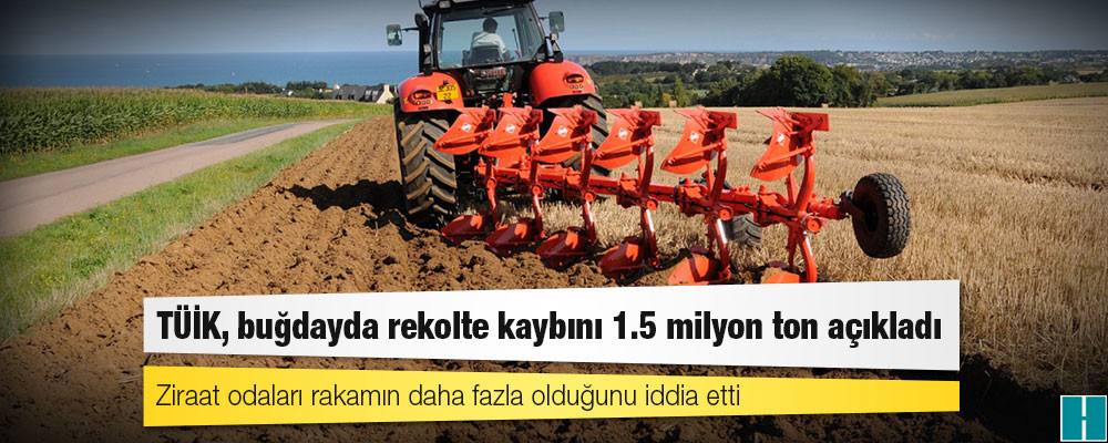 TÜİK, buğdayda rekolte kaybını 1.5 milyon ton açıkladı; ziraat odaları rakamın daha fazla olduğunu iddia etti