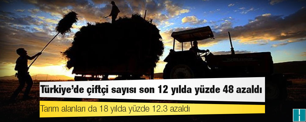 Türkiye'de çiftçi sayısı son 12 yılda yüzde 48 azaldı