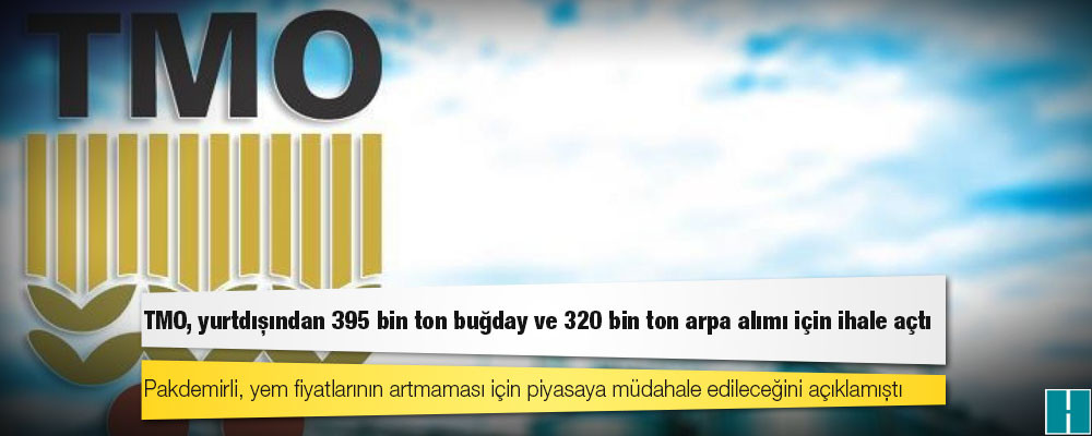 TMO, yurtdışından 395 bin ton buğday ve 320 bin ton arpa alımı için ihale açtı