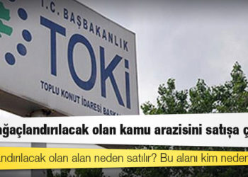 TOKİ, ağaçlandırılacak olan kamu arazisini satışa çıkardı