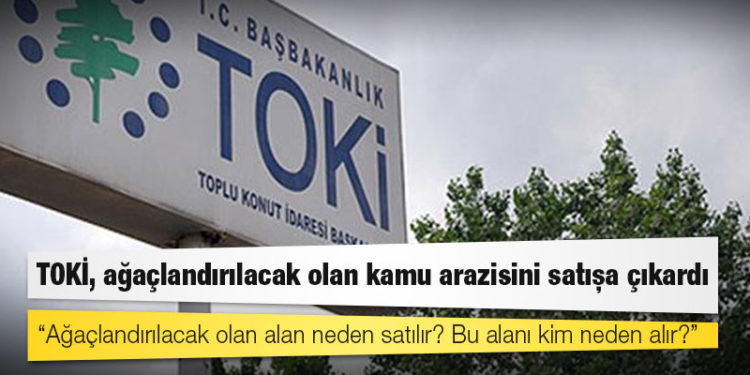 TOKİ, ağaçlandırılacak olan kamu arazisini satışa çıkardı
