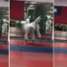 Tayvan'da judo antrenmanında 27 kez yere atılan çocuk öldü