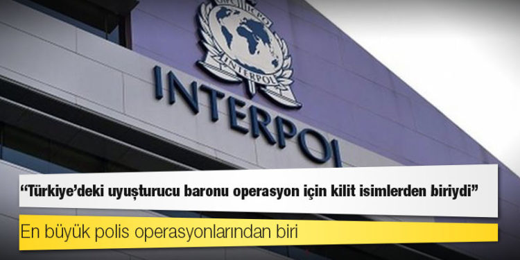 Truva Kalkanı: Organize suç örgütlerine yönelik küresel operasyonda 800'den fazla kişi gözaltına alındı