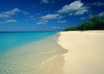 Turks ve Caicos Adaları'nda bir gemide 20 ceset bulundu