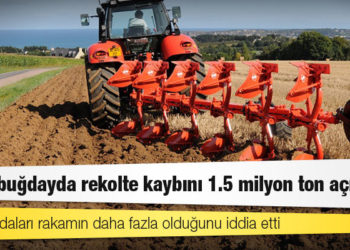 TÜİK, buğdayda rekolte kaybını 1.5 milyon ton açıkladı; ziraat odaları rakamın daha fazla olduğunu iddia etti