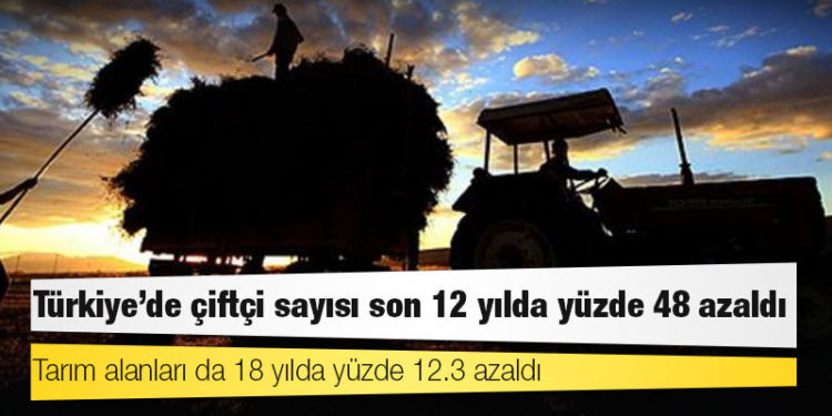 Türkiye'de çiftçi sayısı son 12 yılda yüzde 48 azaldı